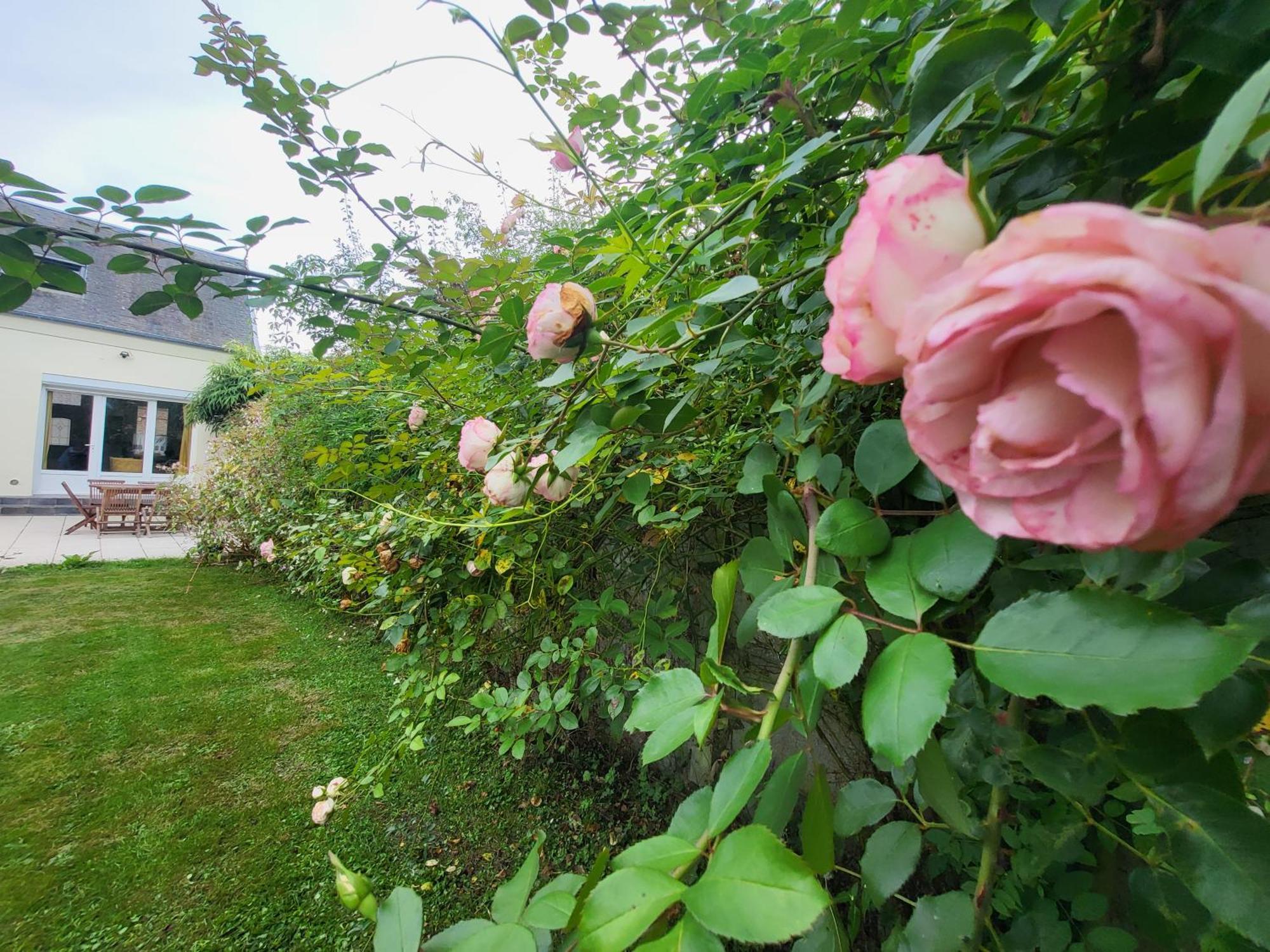 La Massette Villa Favieres  ภายนอก รูปภาพ